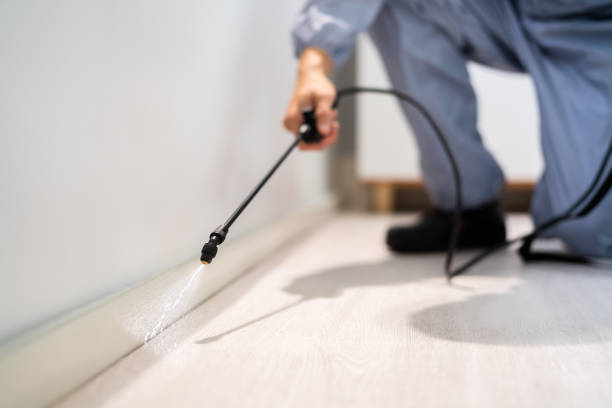 Licensed Termite Control service in Stapleton, AL - Nex Pest Control