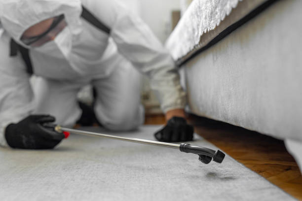 Professional Termite Control technician working in Stapleton, AL