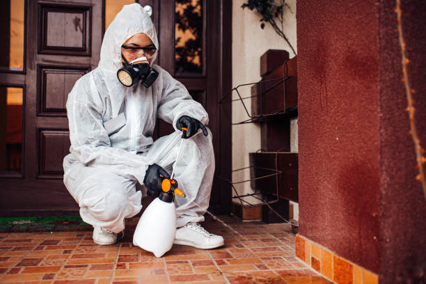 Reliable Termite Control contractor in Stapleton, AL by Nex Pest Control